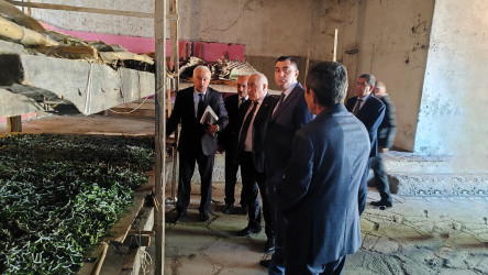 Kövər kəndində barama qurdlarının bəslənilməsi vəziyyətinə baxış keçirilmişdir