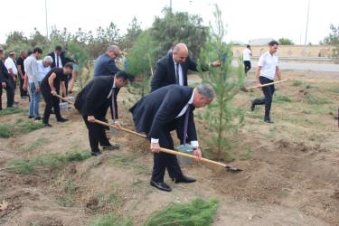 Yevlaxda 27 sentyabr-Anım Günü münasibətilə ağacəkmə aksiyası keçirilmişdir