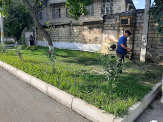 Yevlaxda “Yaşıl dünya naminə həmrəylik ili” çərçivəsində növbəti iməcilik təşkil olunmuşdur