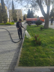 Yevlaxda yaşıllıqlara qulluq göstərilib